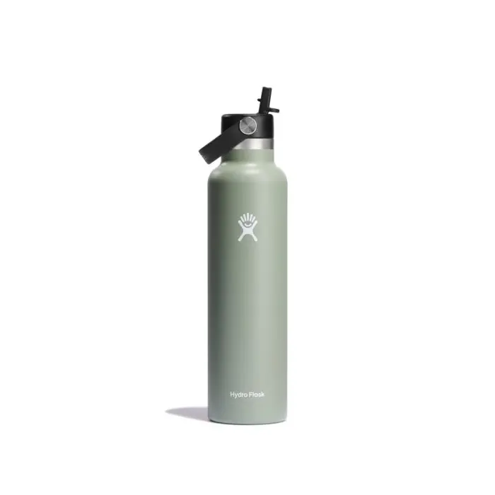 Standard Mouth 24oz Insulated Water Bottle w/ Flex Straw