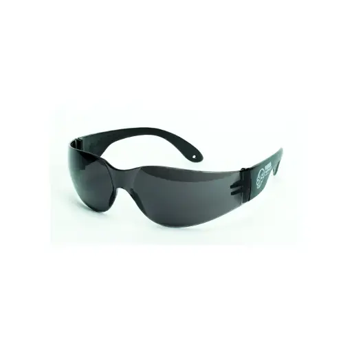 Shooting Glasses
