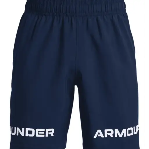 UA Woven Graphic Wordmark Shorts